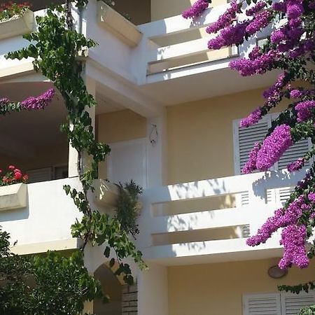 Apartment Katarina Novalja Δωμάτιο φωτογραφία